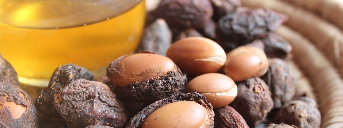 Gedroogde tamanuzaden waaruit tamanu-olie wordt geperst